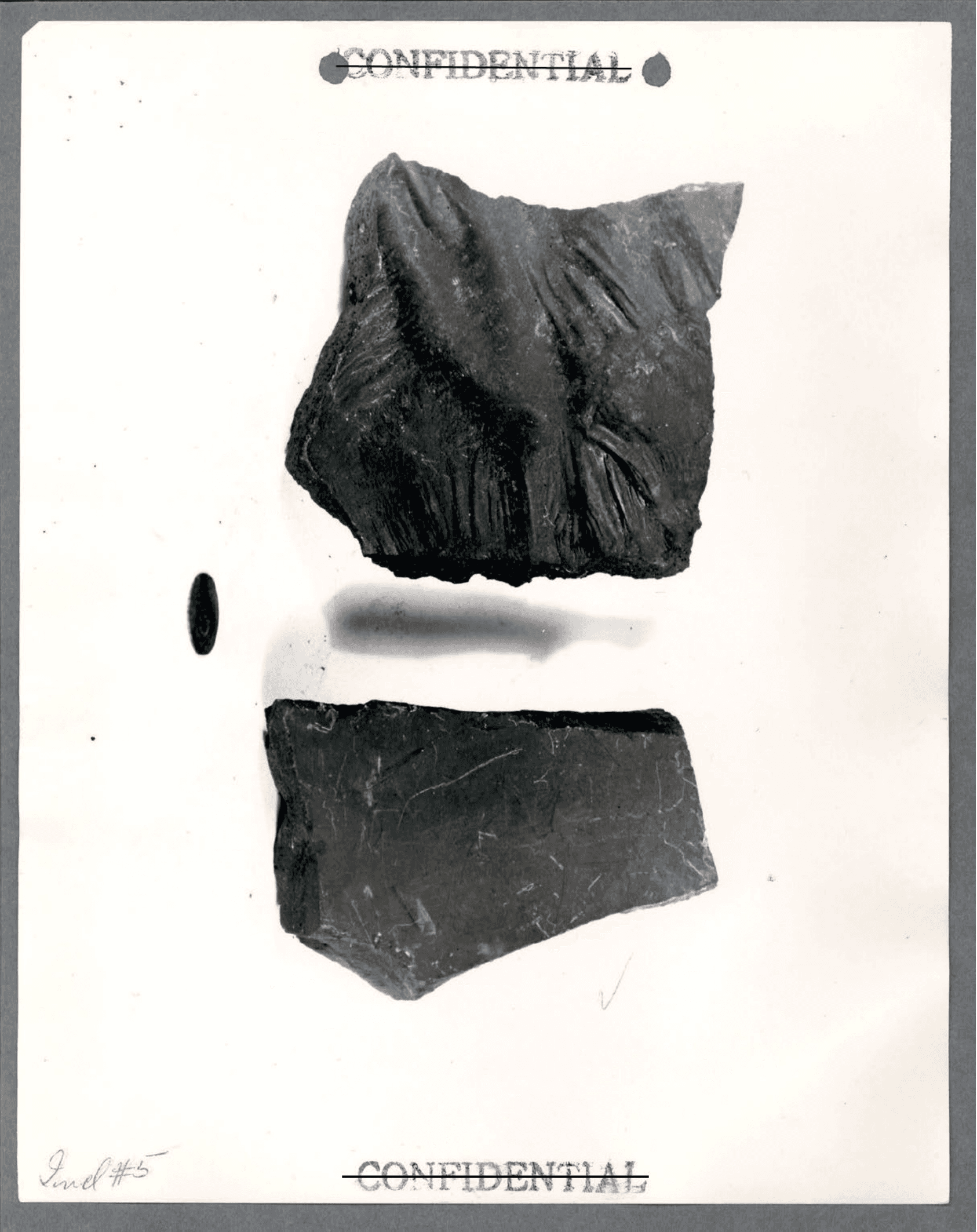 p019